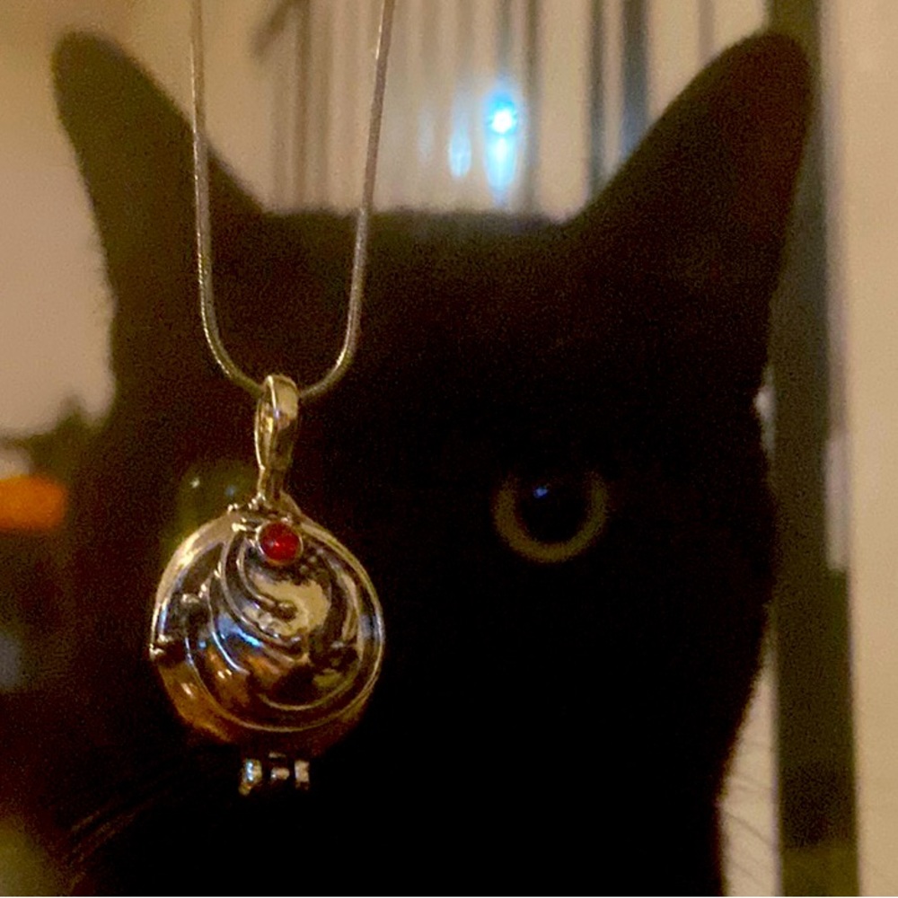The Vampire Diaries necklace